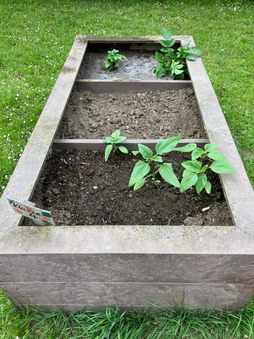 schulgarten_(3).jpg