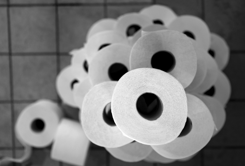 presley123_toilet_paper_6494919.jpg